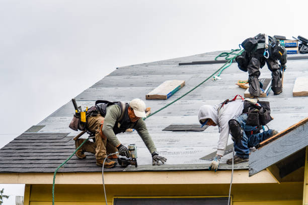 Professional Roofing technician working in Angola, NY